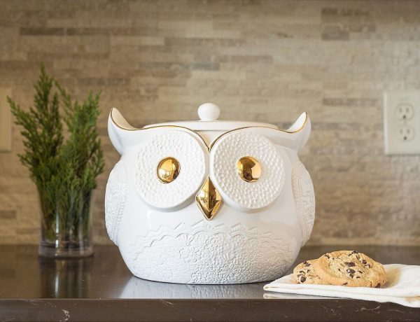 white-owl-with-gold-eyes-and-beak-cute-cookie-jars-600x460